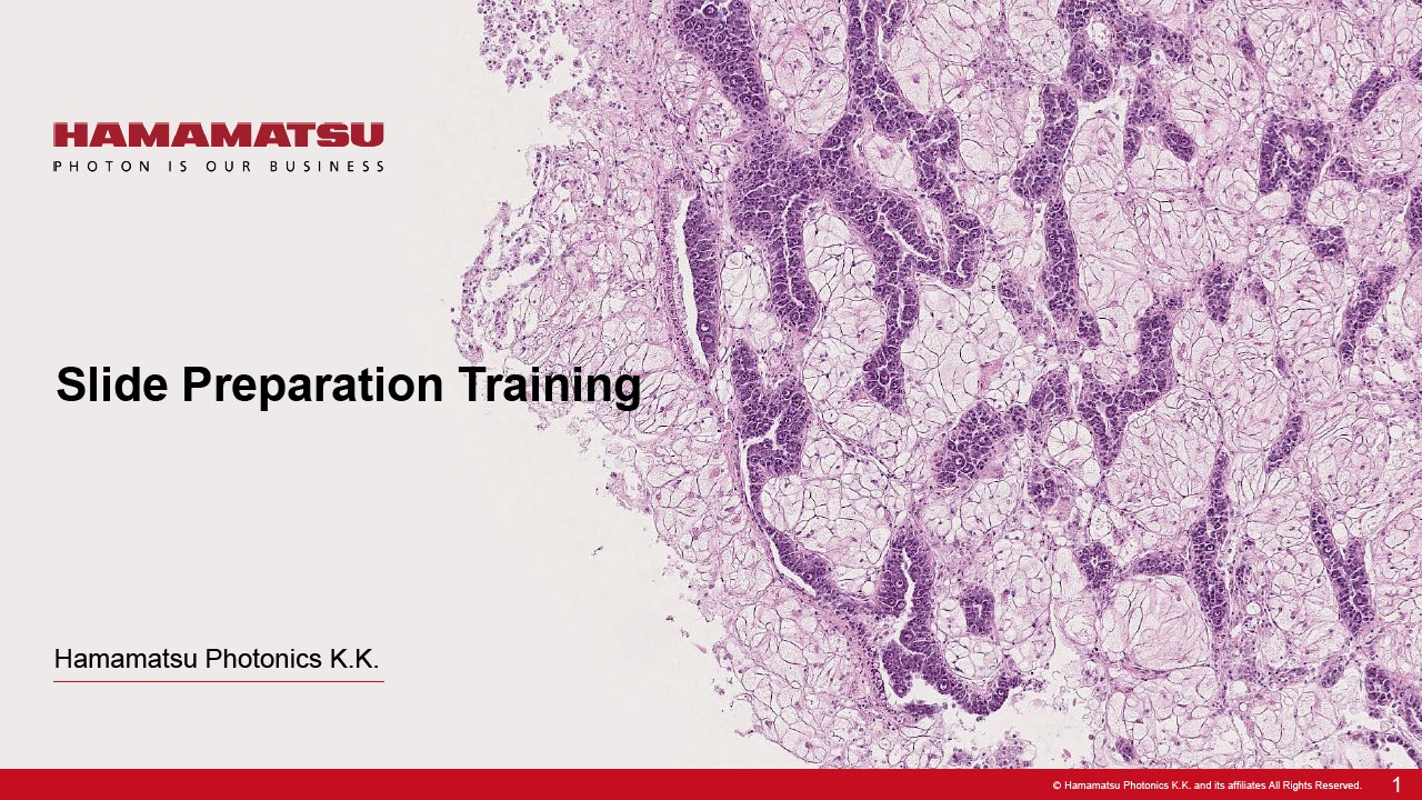 Slide Preparation Training (NanoZoomer related document)