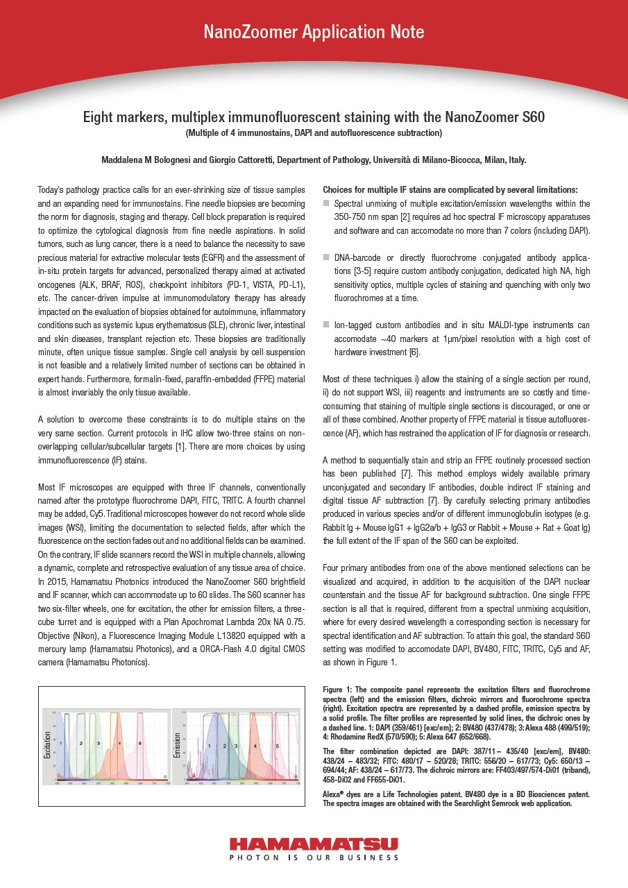 NanoZoomer application note Eight markers, multiplex immunofluorescent staining