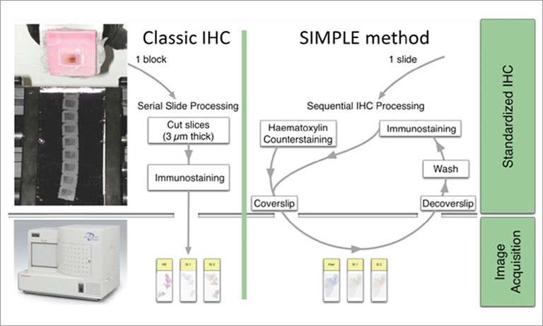 NanoZoomer Casestudy cmmi