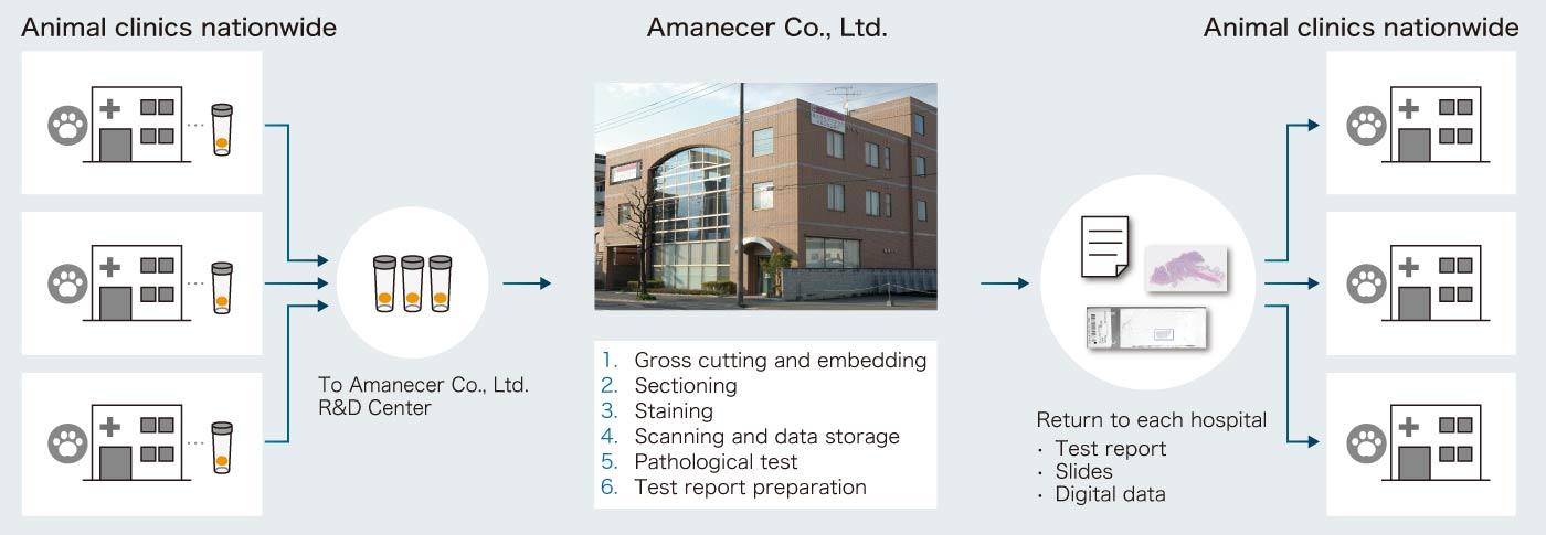 Digital veterinary pathology workflow of Amanecer Co., Ltd.