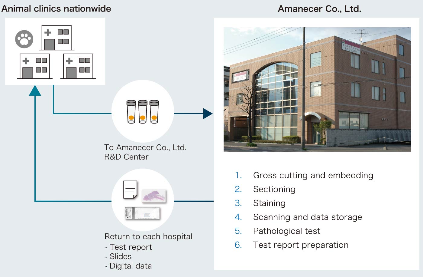 Digital veterinary pathology workflow of Amanecer Co., Ltd.