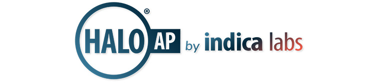 NanoZoomer Casestudy NUH03