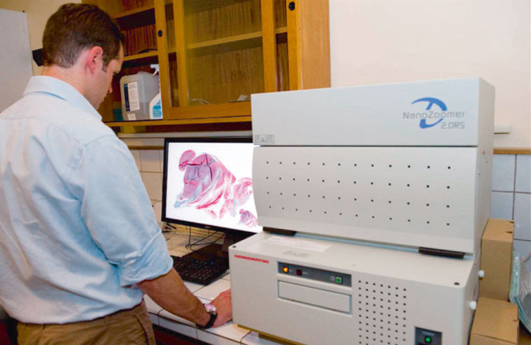 NanoZoomer application notes 06