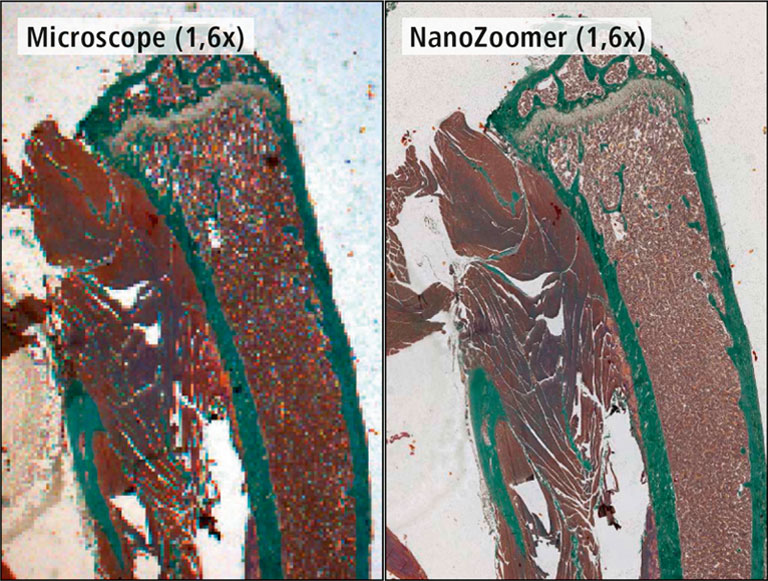 NanoZoomer application notes 06