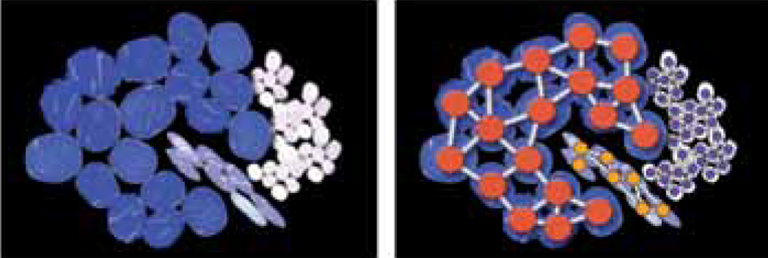 NanoZoomer application notes 03