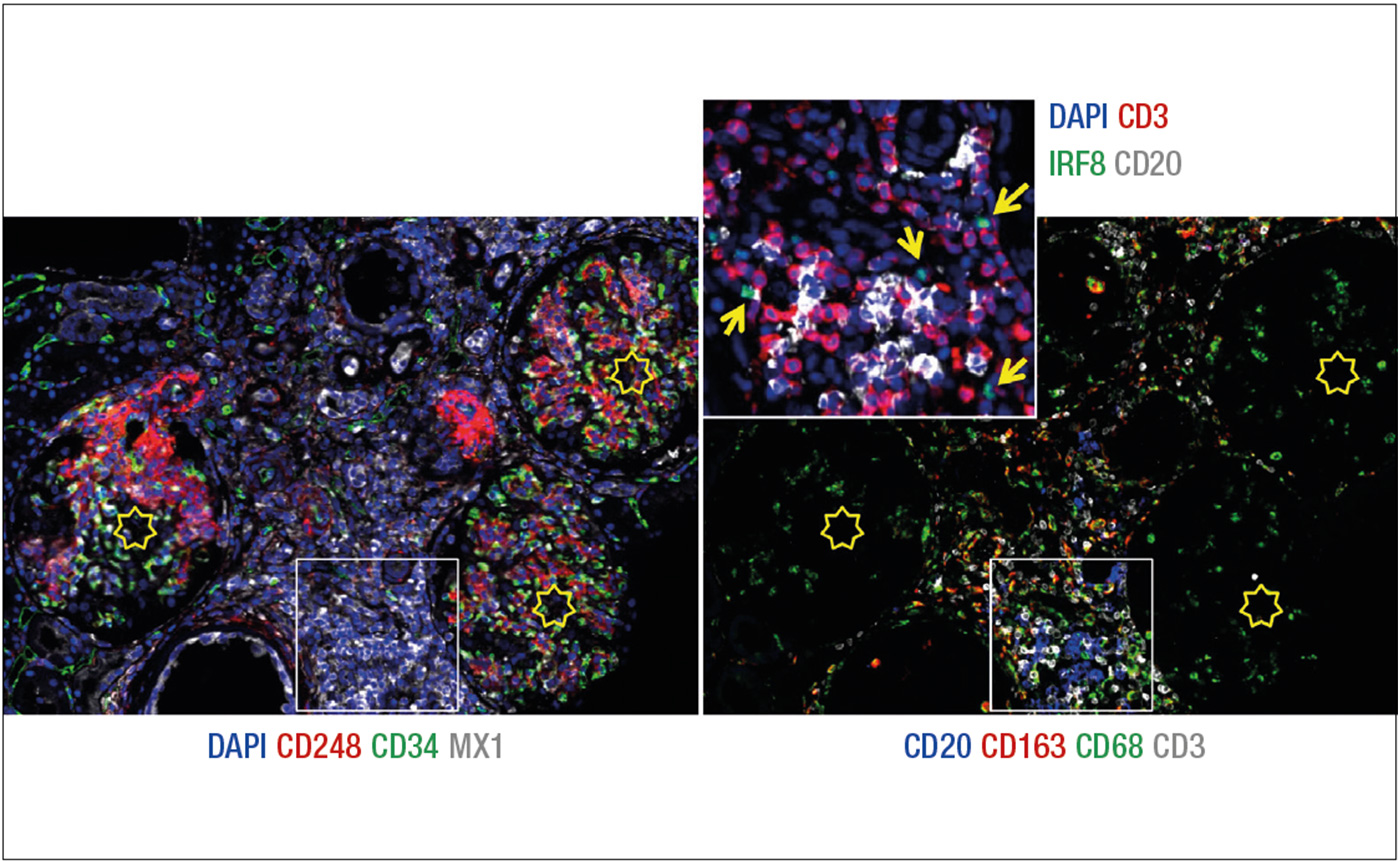 NanoZoomer application notes 09