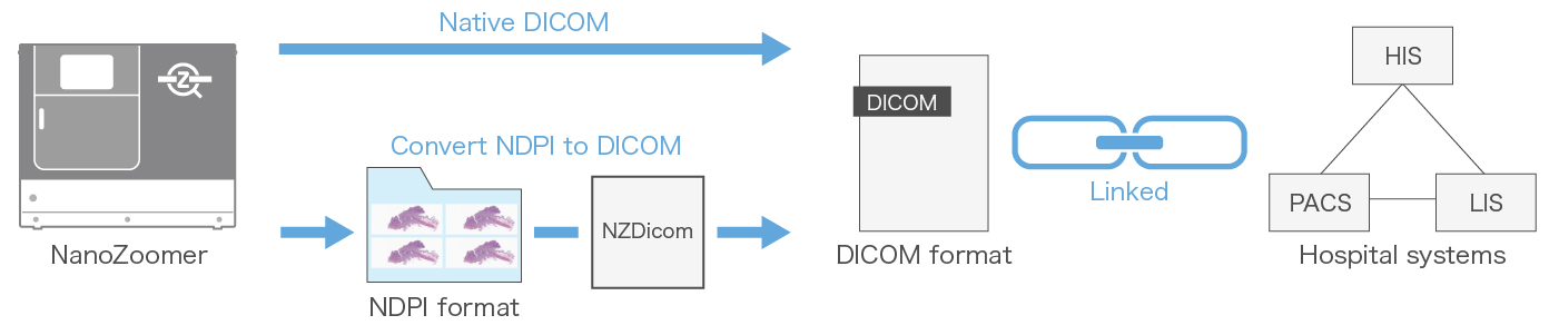 NanoZoomer connect DICOM