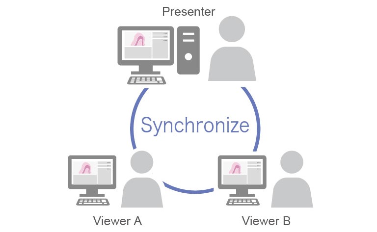 Synchronized viewing