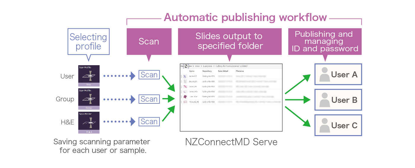 Automatic publishing