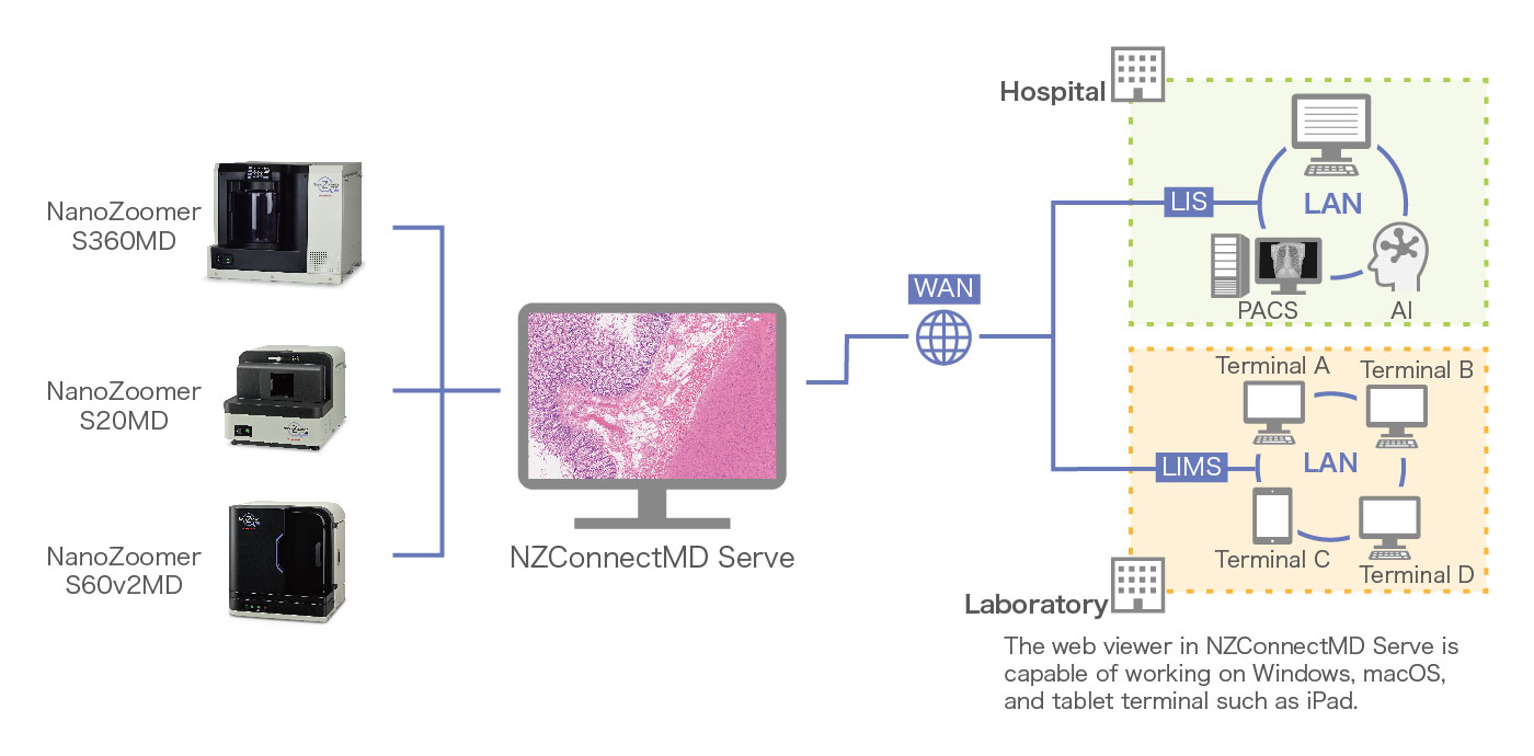 Connecting you with NanoZoomer MD