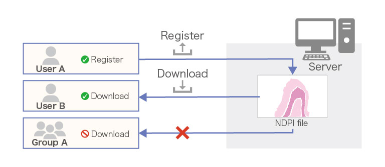 ID/password-based authentication