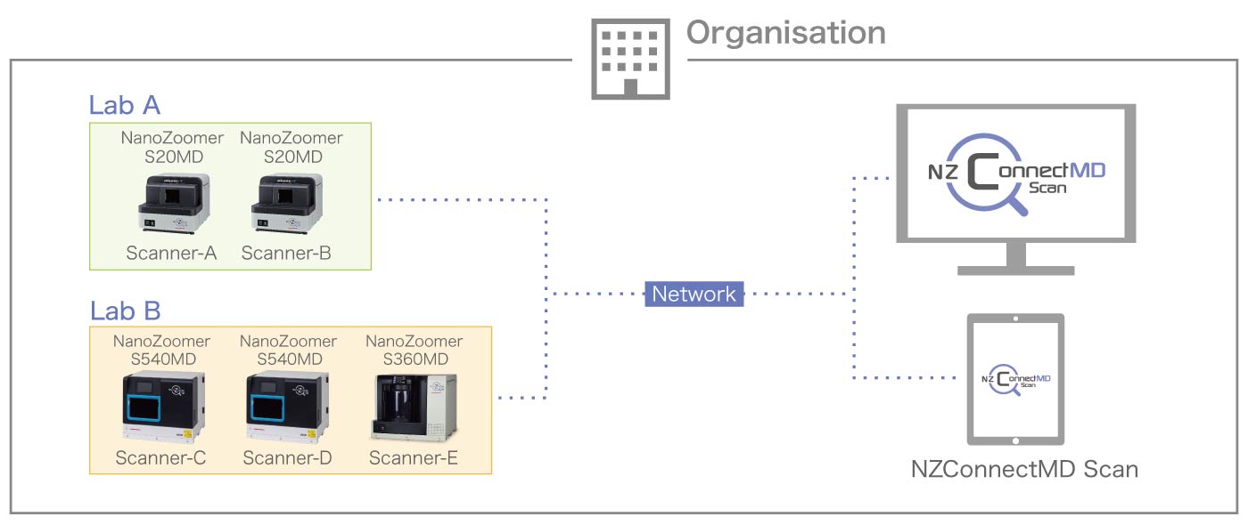 Optimizing Digital Pathology Workflow with Centralised Scanner Management