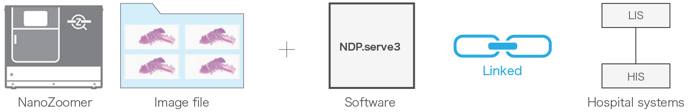 LIS integration