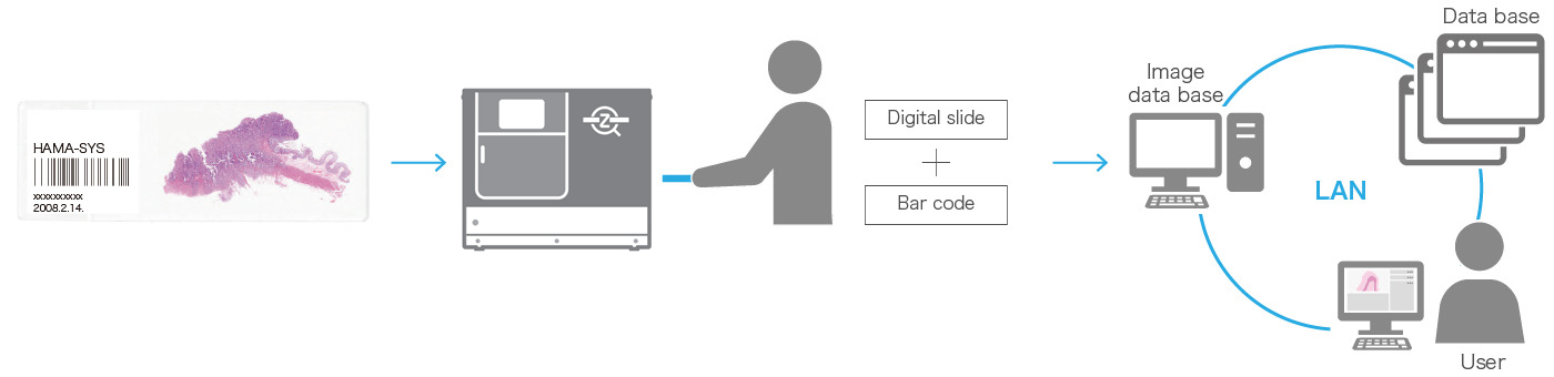 Barcode reading