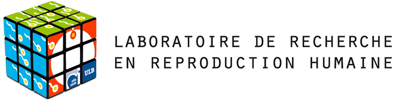 NanoZoomer Casestudy ULB04