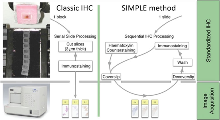 NanoZoomer application notes 07
