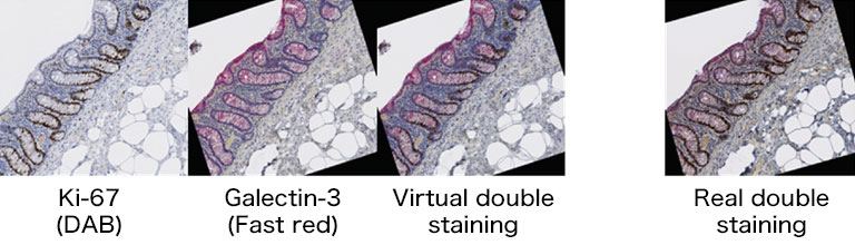 NanoZoomer application notes 07