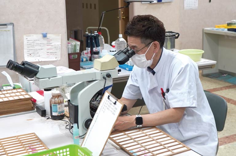 Digitalization of veterinary pathology