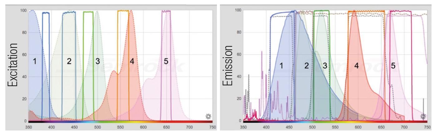 NanoZoomer application notes 09