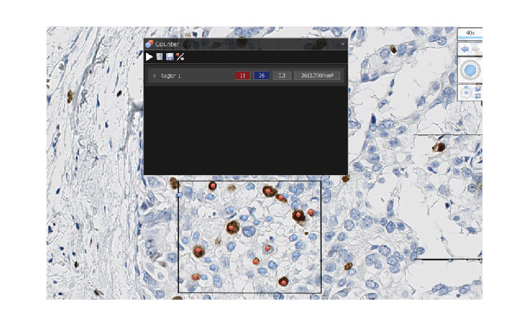 Counting by mouse clicking