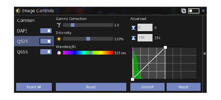 NDP.view2 Viewing software U12388-01 | Hamamatsu Photonics