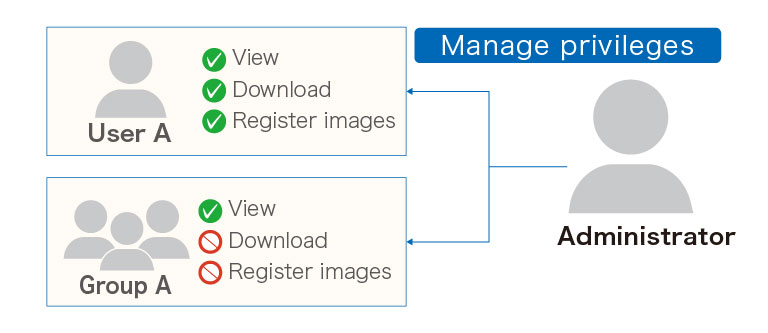 Access permission management