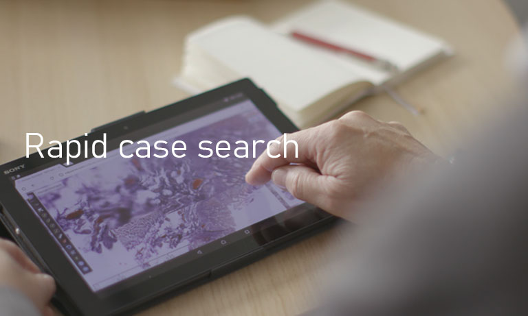 NanoZoomer application routine rapid case search