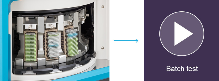 Batch test
