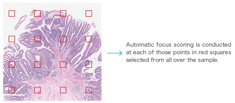 Focus scoring