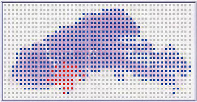 Improving the efficiency of visual checks