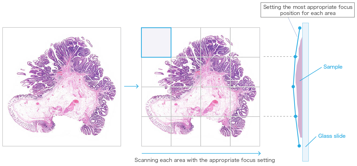 NanoZoomer scan feature