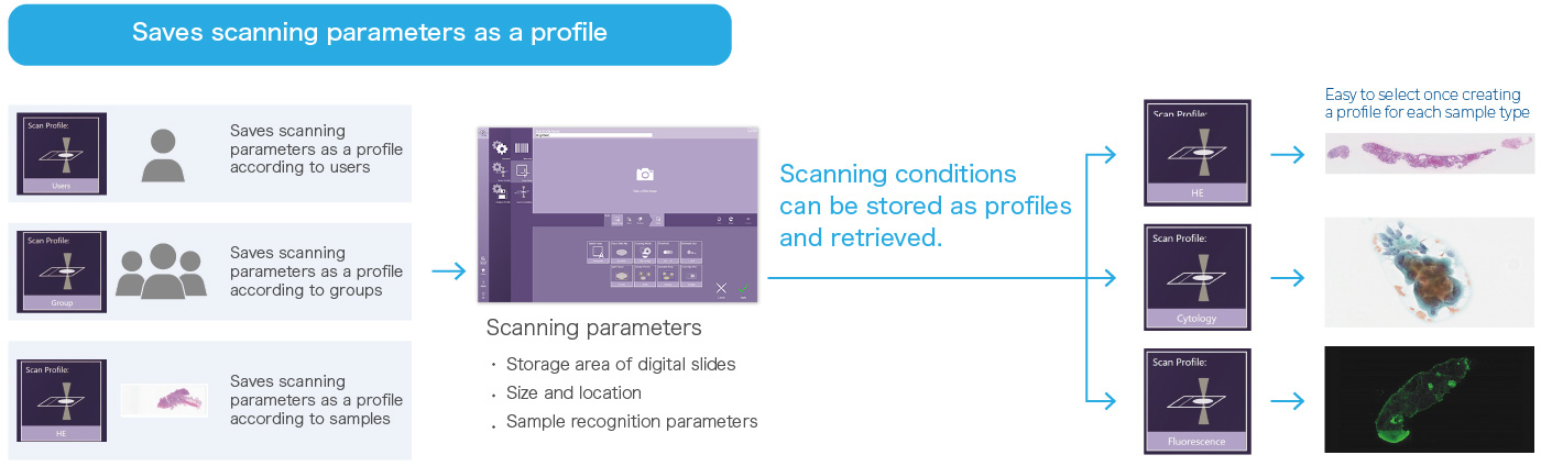 NanoZoomer scan feature