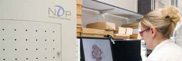 NanoZoomer application notes 04