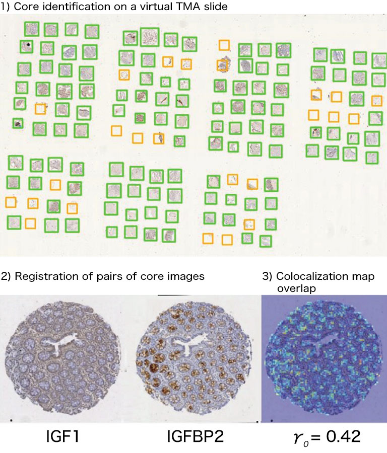 NanoZoomer application notes 07