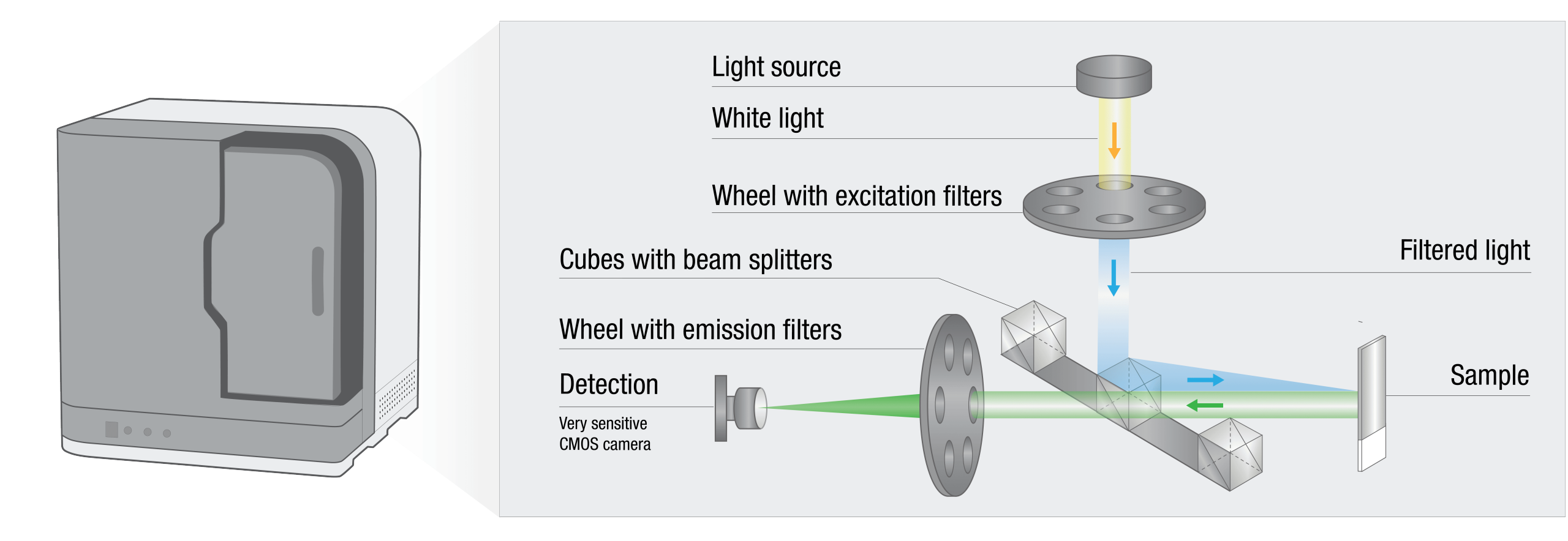 Schematic representation of fluorescent scanning in the NanoZoomer® S60