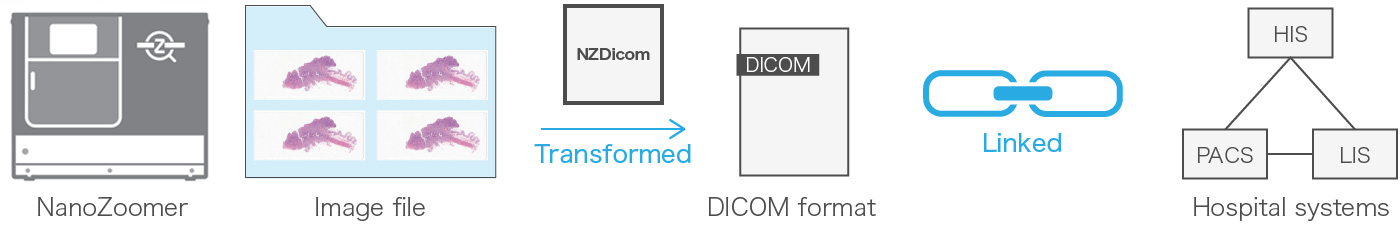 NanoZoomer connect DICOM