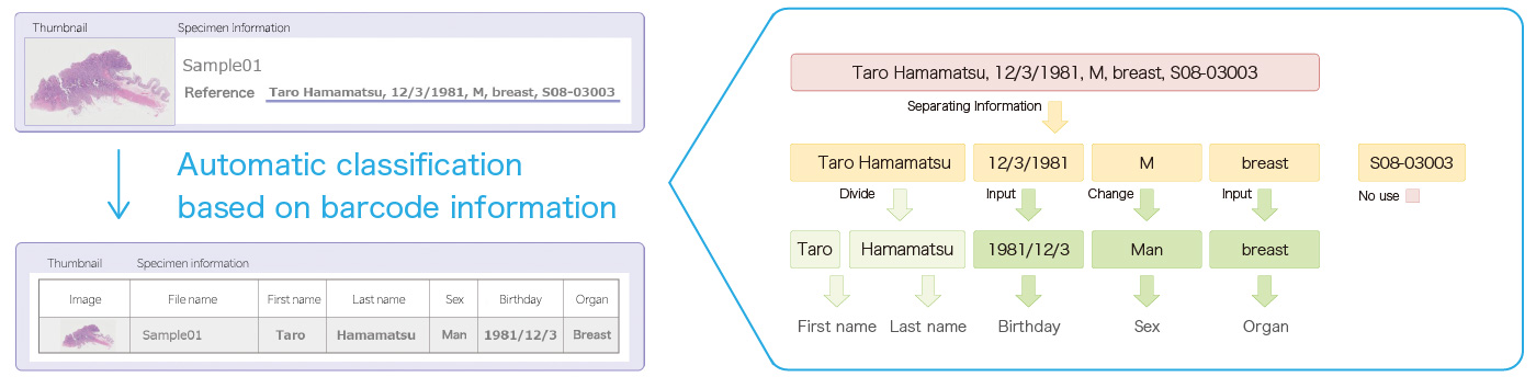 Automatic classification of barcode information