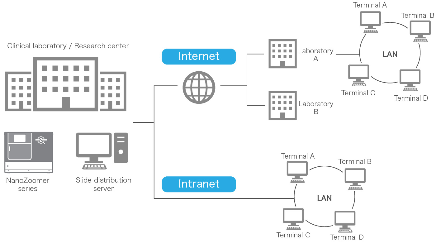 Browsing environments