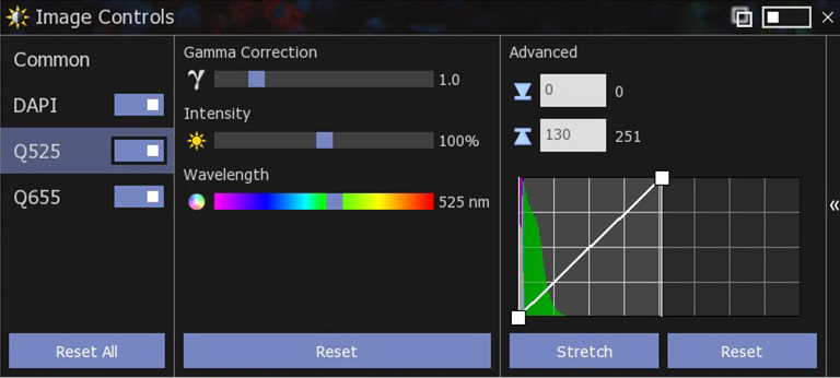 NanoZoomer view feature
